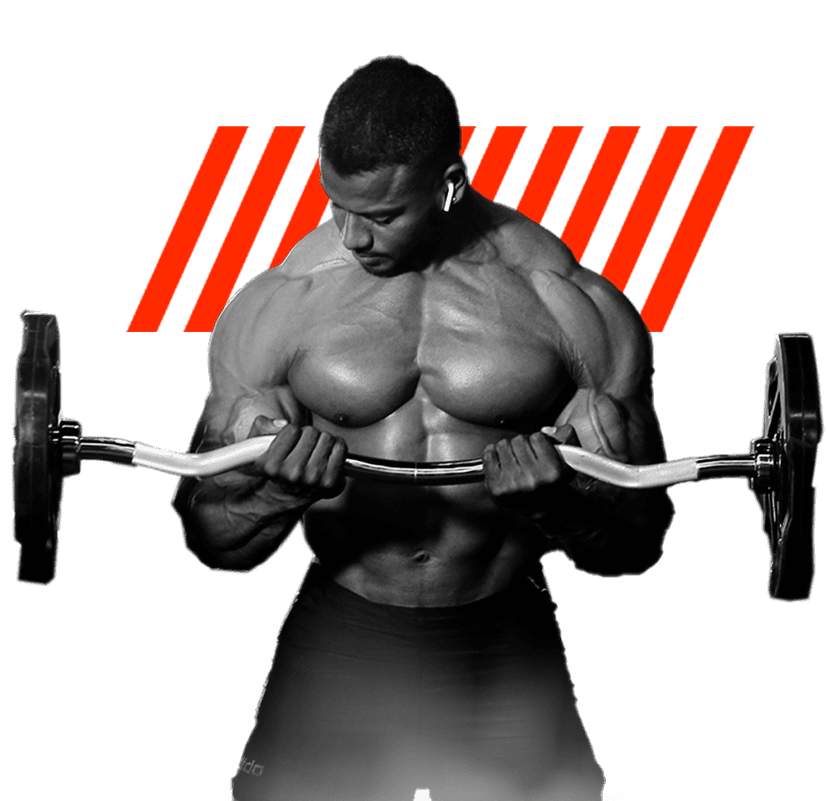trainer